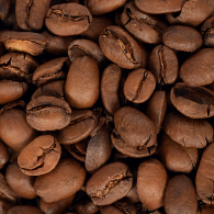 Кава смажена в зернах арабіка Сальвадор Марагоджип